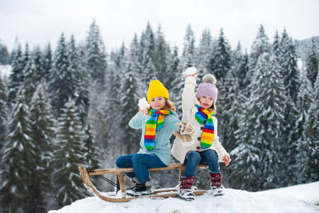 Kids play snowball, snow ball fight for children. Winter knitted kids clothes. Cold weather. Happy little kids wearing knitted hat, scarf and sweater.の写真素材