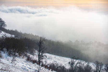 Winter nature for design. Winter landscape with trees covered with snow hoarfrost.の写真素材