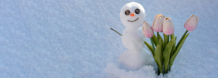 Spring or winter seasons banner. Snowman with tulip flowers. Spring winter snow man with carrot nose.の写真素材
