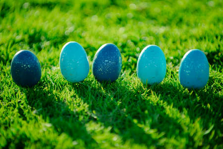 Hunting easter eggs. Easter eggs on green grass background. Spring kids holidays concept. Happy Easter greeting card.の写真素材