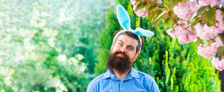 Funny easter man in rabbit costume with bunny ears on spring garden. Banner.
