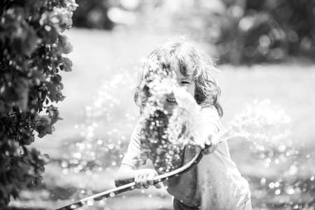 Kids play with water garden hose in yard. Outdoor children summer fun. Little boy playing with water hose in backyard. Party game for children. Healthy activity for hot sunny day.の写真素材