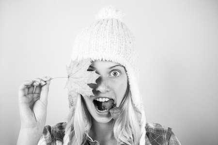 Surprise woman. Beautiful sexy woman holding gold leaf on pinc background. Crazy people. Happy autumn people concept.の写真素材