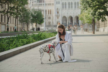 Beautiful female model in summer city in Europe. Trendy woman walking with dog on the street background.の写真素材