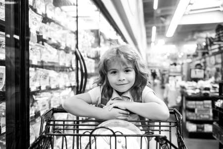 Little customer child at grocery or supermarket with goods in shopping trolley.の写真素材