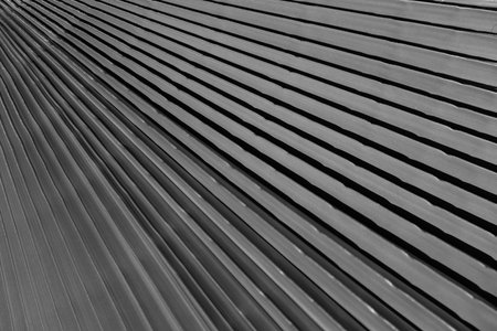 Tropical green background. Palm leaves background, natural green texture with palm foliage backdrop.の写真素材