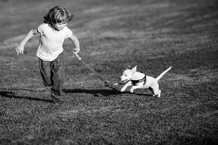 Boy running and playing with dog on the lawn in the park. Pet with owner. The doggy has raised a tail up.の写真素材
