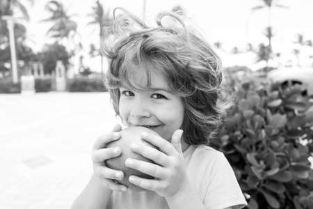 Kid eat apple. Healthy boy nutrition for kids. Fruit snack. Lunch time.の写真素材