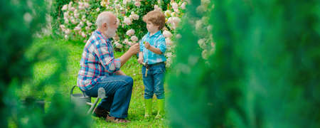 Grandfather and grandchild, spring banner. Little helper in garden. lifestyle and family life....