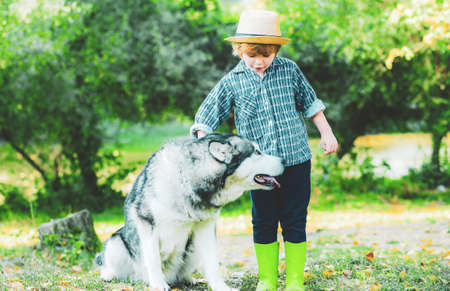 Boy playing with his dog on the lawn in the park. Happy little children having fun with dog pet on field. Child 6 years old.の写真素材