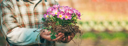 Spring banner. Child working in garden near flowers garden. Young farmer. Boy in a gumboots playing on spring field.の写真素材