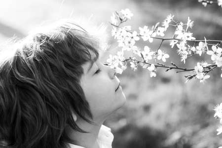 Spring kid with blooming tree. Cute child in blossom garden.の写真素材