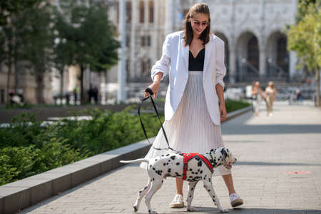 Beautiful young woman in the city street. Beautiful young fashion woman walking with dog.の写真素材
