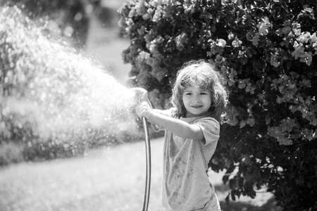 Happy little boy having fun in domestic garden. Child hold watering garden hose. Active outdoors games for kids in the backyard during harvest timeの写真素材