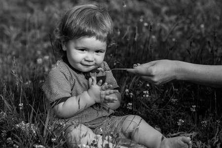 Spoon feeding baby. Mothers hand feeding baby with a spoon. Summer ration, childcare. Good morning on the Farm.の写真素材