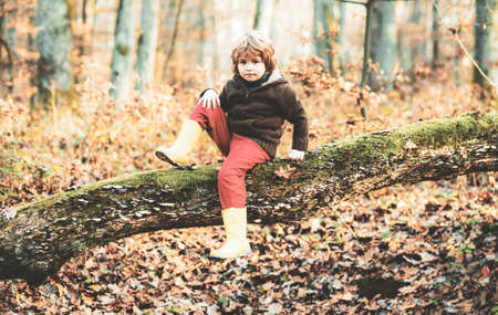 Little cute boy in autumn park, adorable happy child playing in Fall Leaves outdoor.の写真素材