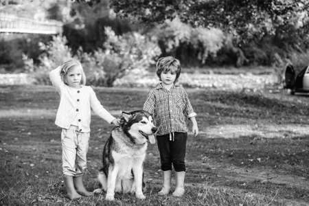 Funny children boy and girl with dog walk together on green hill. Adventure and vacations children concept. Children are hiking together with pet dog. Happy childhood moments.の写真素材