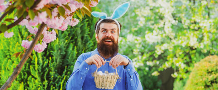 Eggs hunt. Man in bunny ears holds Easter egg. Rabbit man. Man with rabbit ears hold basket with Easter egg. Easter banner.の写真素材