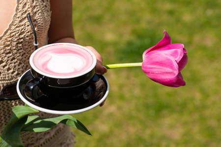 Pink latte, pink matcha or cappuccino in female hand. Coffee cup. Spring. Close up of a woman hands...