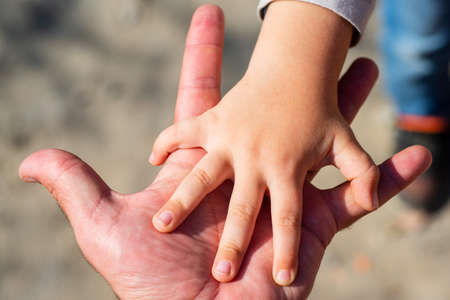 Family hands. Fatherhood concept. Child and father relationships. Children adaptation, adopted child.の写真素材