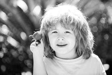 Child with happy face eating strawberry. Child hold strawberrie.