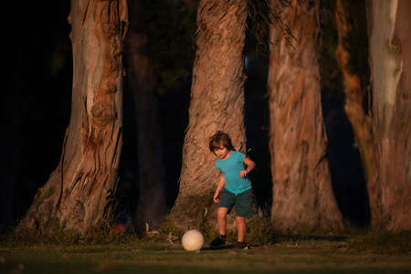 Soccer kids, child boy play football outdoor. Young boy with soccer ball doing kick. Football soccer players in motion. Cute boy in sport action. Young sporty kids.の写真素材
