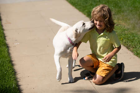 Dog licking child boy. Young boy and dog in park. Happy boy hugging his pet.の写真素材