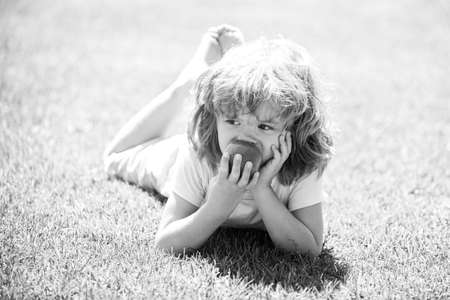 Kid eat apple. Healthy boy nutrition for kids. Fruit snack. Lunch time.の写真素材