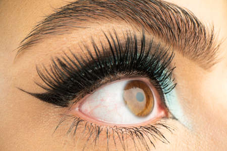 Mascara for eyelashes. Eyeshadow applying, makeup for eyes closeup. Female model eye with fashion make up, beauty concept. Macro open eye, close up. Makeup detail.の写真素材
