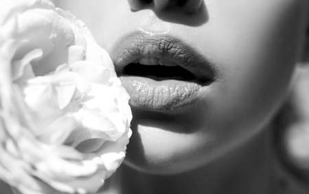 Sensual open mouth. Lips with lipstick closeup. Beautiful woman lips with rose.の写真素材