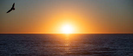 Beach sunrise over the tropical sea. Colorful sunset on the beach. Paradise beach.の写真素材