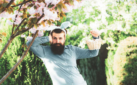 Funny man having fun in park. Easter egg hunt concept. Funny man in rabbit costume with easter eggs.の写真素材