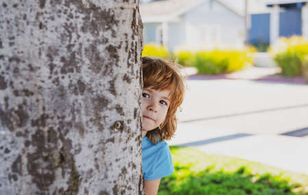 Child play hide and seek. Peekaboo. Little kid hide by tree.の写真素材