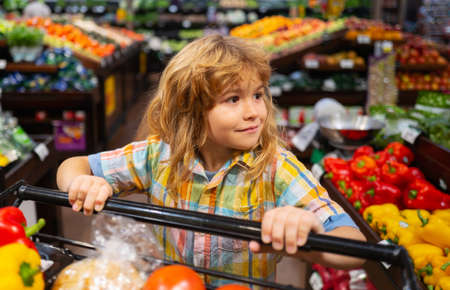 Child boy is shopping in a supermarket. Kids shopping in supermarket.の写真素材