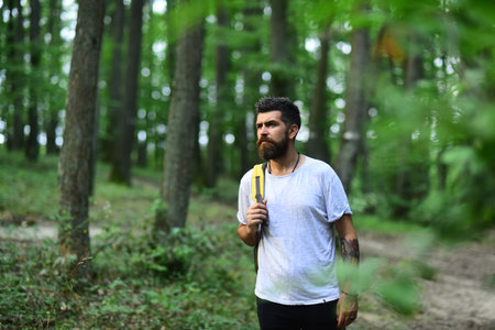 Man hiking in a countryside location through a forest. Man with backpack walks into the forest....
