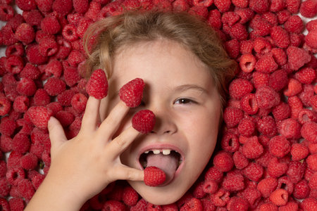 Happy little child face with raspberry. Child picking raspberry. Kids pick fresh fruit on organic raspberries farm. Children gardening and harvesting berry.の写真素材