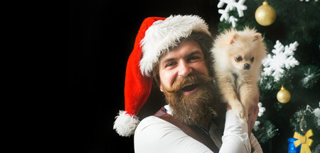 Close up portrait of a funny santa celebrate winter Christmas holidays hold puppy dog. Funny santa face.の写真素材