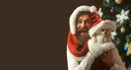 Close up portrait of a funny excited santa celebrate winter Christmas holidays hold puppy dog. Funny santa face.の写真素材
