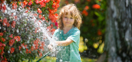 Spring child watering, banner. Child watering flowers and plants in garden. Kid with water hose in backyard. Kids gardening. Kids summer fun outdoor at home.の写真素材
