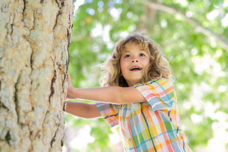 8 years old boy climbing high tree in the park. Overcoming the fear of heights. Happy childhood. Kid trying to climbing on the tree.の写真素材