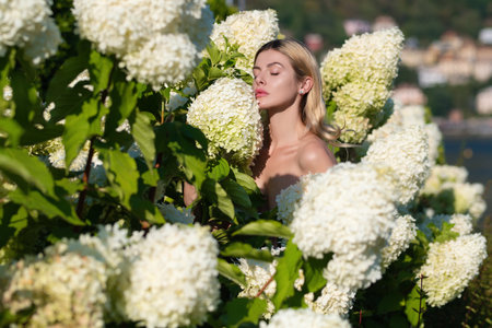 Young woman in hydrangea garden. Bushes of flowers in spring park. Girl with bouquet of hydrangea. Pretty woman with summer flowers. Stunning brunette girl with big bouquet of hydrangeas.の写真素材