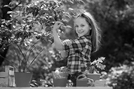Girl power. Portrait of kid gardener carrying harvested in farm. Happy little farmer having fun on field. Toddler are working in flowers park.の写真素材