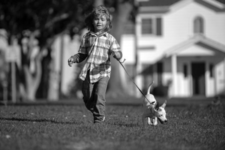Kids insurance. Little boy kid running with dog, playing owner and pet in summer meadow. Happy Puppy. Family, parenthood, childhood concept.の写真素材