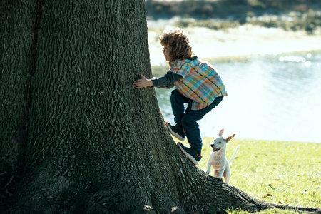 Child with dog climb a tree, kid playing with puppy in a park and climbing. Owner and pet having fun in garden outdoors. Life path.の写真素材