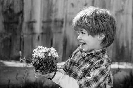 Cute little boy watering plants in the garden at spring sunny day. Eco life. Little gardener. Crop planting at fields. Child care plants.の写真素材