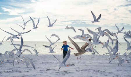 Summer holiday. Child run on the seagulls on the beach, summer time. Cute little boy chasing birds near sea on summer day.の写真素材