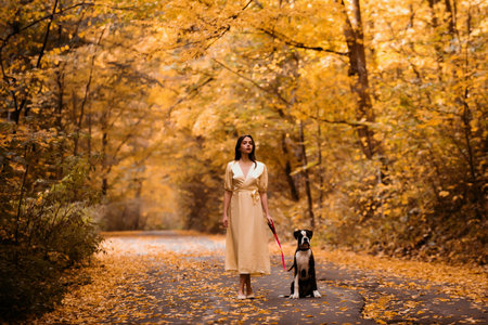 Girl is walking with her dog. Warm autumn. Portrait of a beautiful woman in a light dress. Beautiful young brunette woman with long hair walk in autumnal forest.の写真素材
