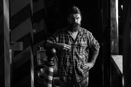 Barber shaving a bearded man in a barber shop. Beard man visiting hairstylist in barber shop. Barbershop. Sandalwood shaving cream. Barber shop. Bearded man.の写真素材