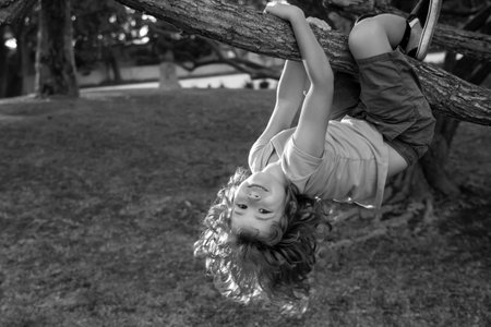 Kid climbs a tree. Funny climbing boy. Happy boy enjoying summer day in a garden.の写真素材