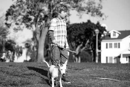 Lovely kid with dog walking outdoor. Child with her pet friend.の写真素材